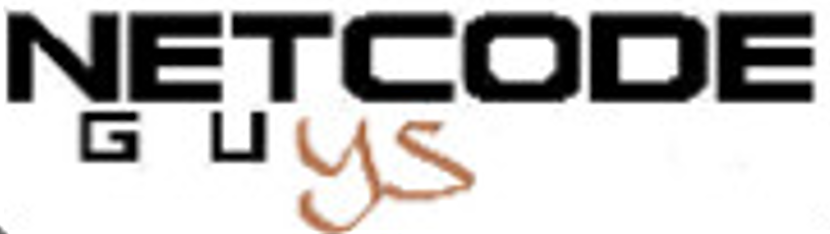 Netcode Guys